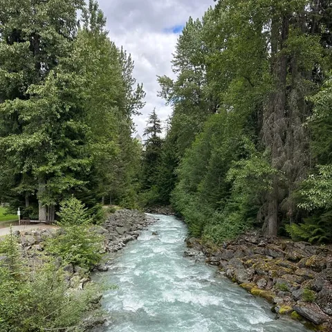 The river running below Shannon Falls