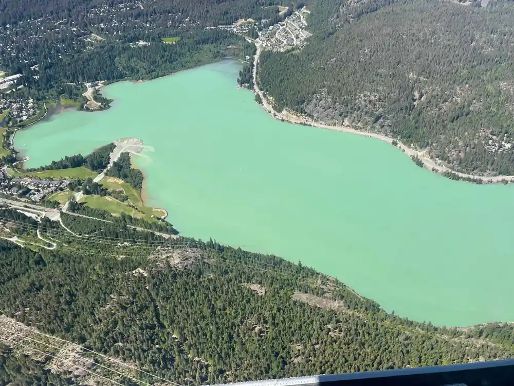 Green lake water meeting a wooded shoreline