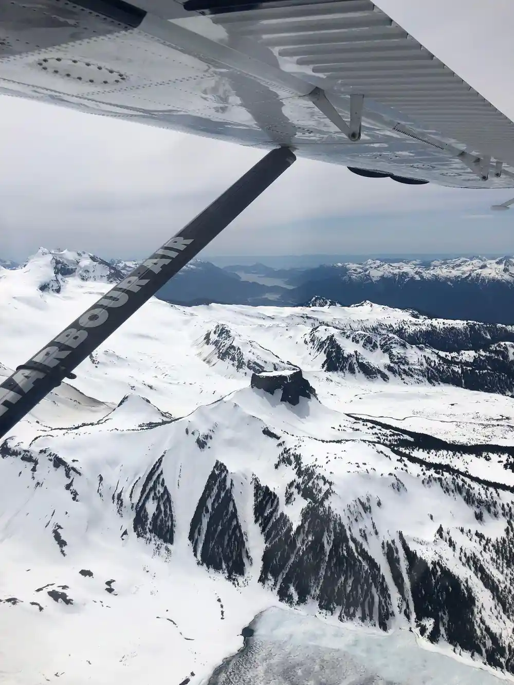 Snow-covered peaks and a glacier from the wing